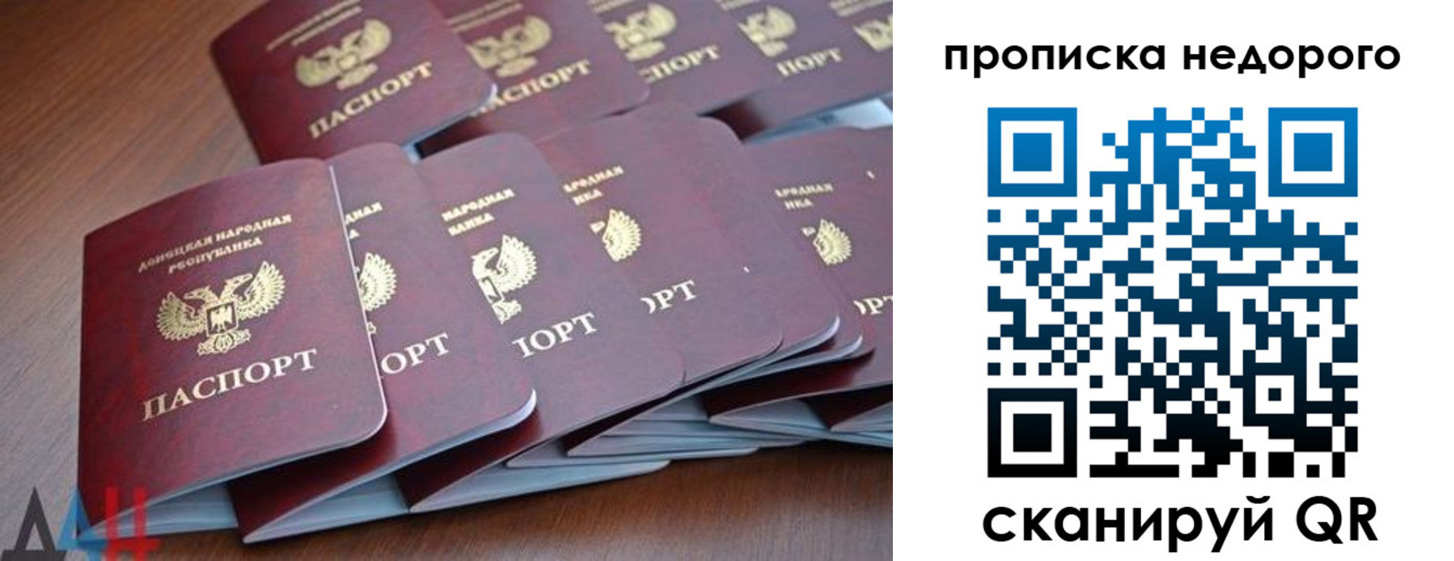 временная регистрация для всех в Димитровграде